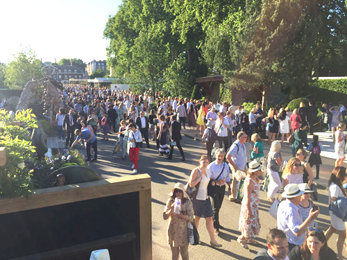 2017英國景觀專業考察Day3：切爾西花展