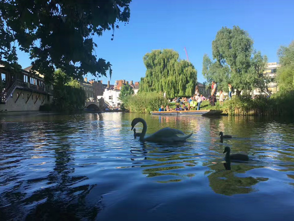 2017英國景觀專業考察交流Day4:與康橋的約會