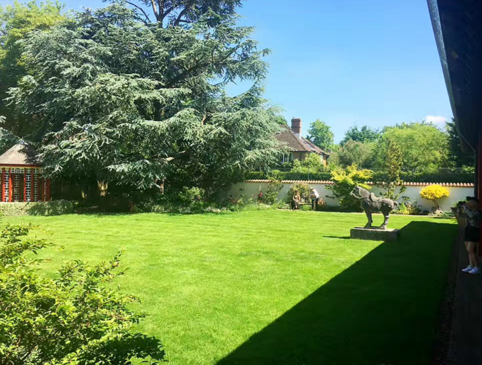 2017英國景觀專業考察交流Day4：與康橋的約會