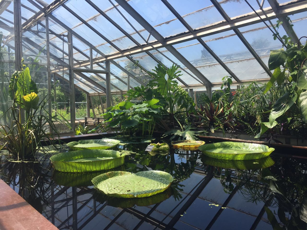 2017英國景觀專業考察交流Day4：與康橋的約會