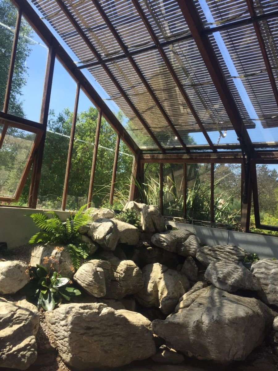 2017英國景觀專業考察交流Day4：與康橋的約會