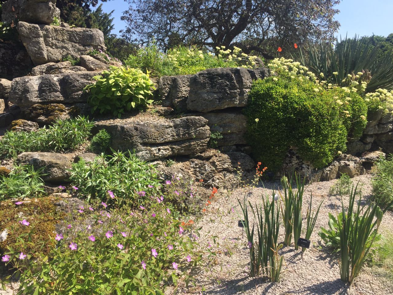 2017英國景觀專業(yè)考察交流Day4：與康橋的約會