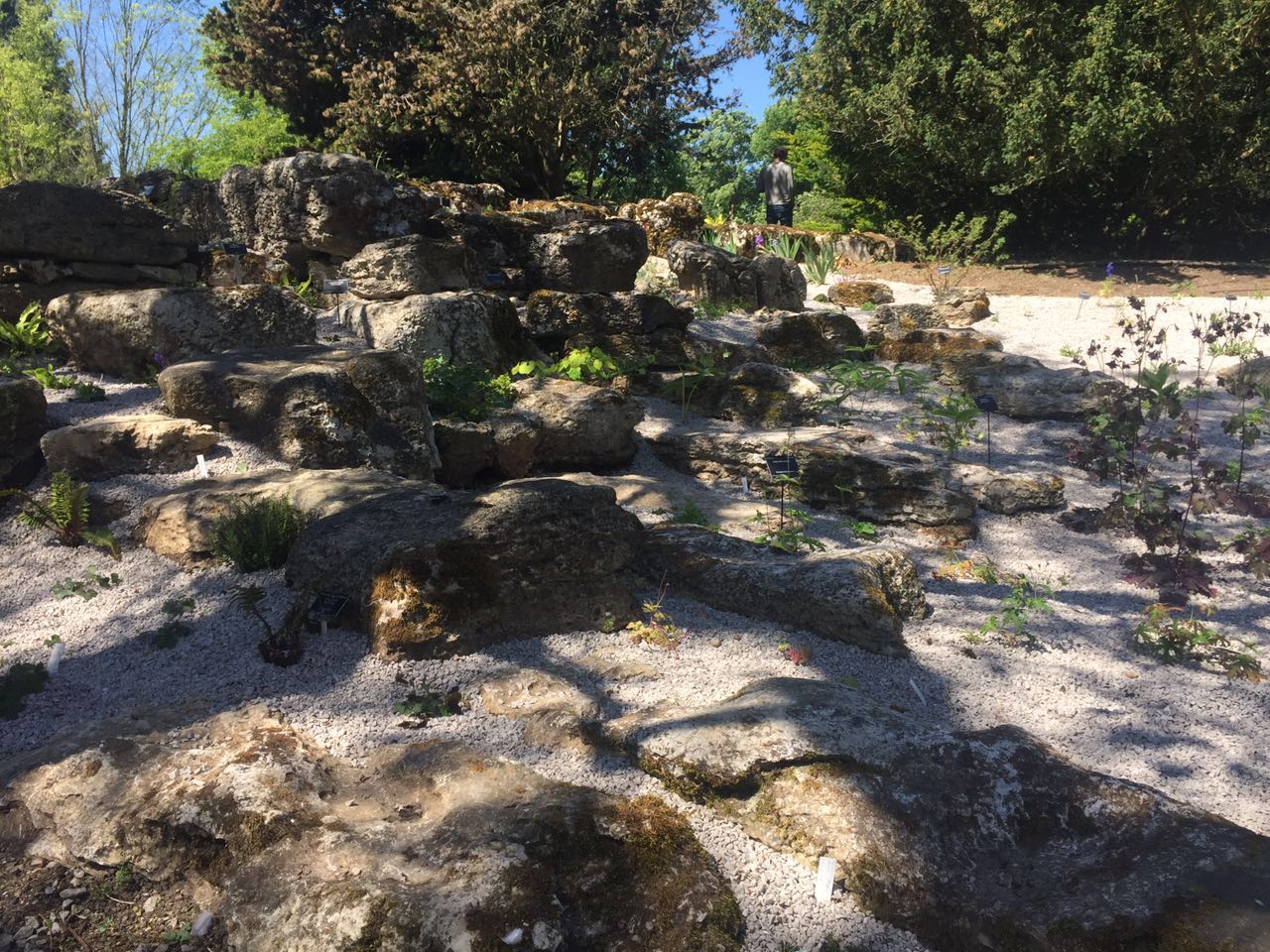 2017英國景觀專業(yè)考察交流Day4：與康橋的約會