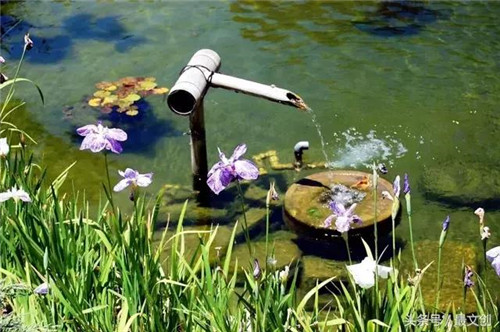 竹噴泉 庭院里的禪意