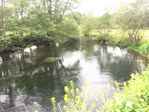 2017英國景觀專業(yè)考察Day8:峰區(qū)國家公園