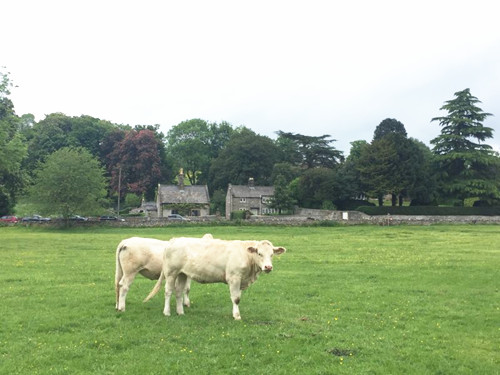 2017英國景觀專業考察Day8：峰區國家公園