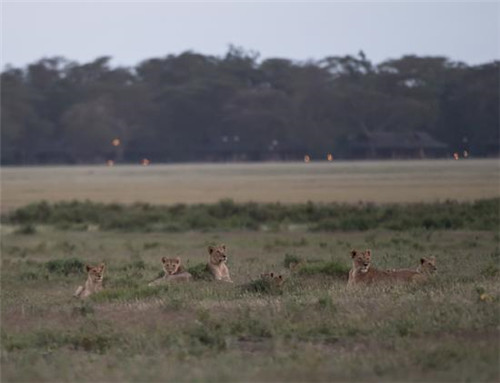 走進肯尼亞安博塞利國家公園
