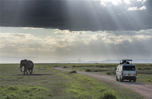 走進肯尼亞安博塞利國家公園