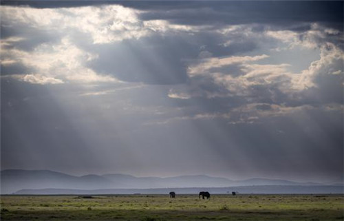 走進肯尼亞安博塞利國家公園