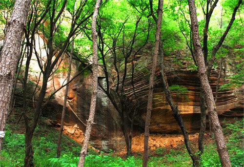 陜西黃陵國家森林公園科普科普教育基地