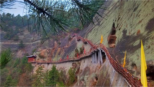 陜西黃陵國(guó)家森林公園科普科普教育基地