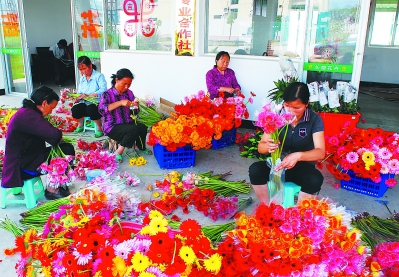 一個偏遠貧困小縣如何發展為鮮切花之鄉？