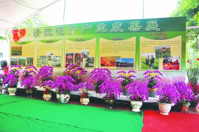 一個偏遠貧困小縣如何發展為鮮切花之鄉？