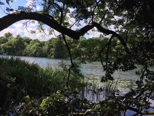 2017英國景觀專業考察Day10：感受文化積淀