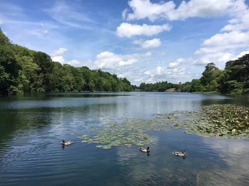 2017英國景觀專業考察Day10：感受文化積淀