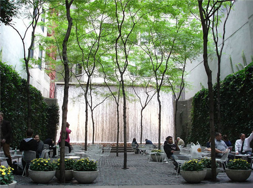 雨水花園:永續利用花園和園林中的水資源