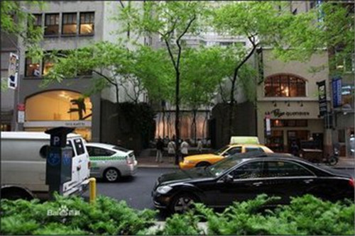 雨水花園:永續利用花園和園林中的水資源