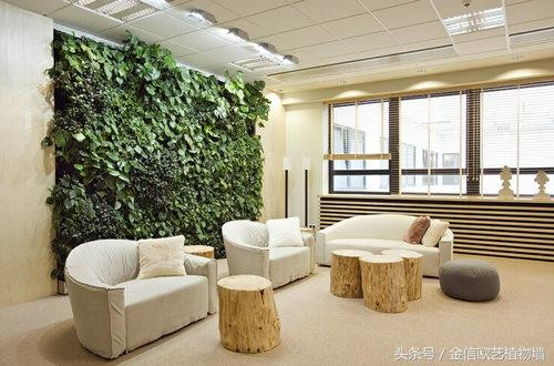 立體綠化植物墻為何這么受歡迎?