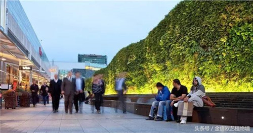 立體綠化植物墻為何這么受歡迎?