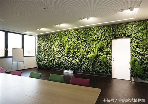 立體綠化植物墻為何這么受歡迎?