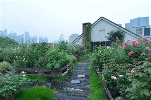 露臺上建造的花園