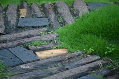 露臺上建造的花園