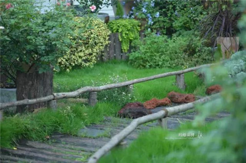 露臺上建造的花園