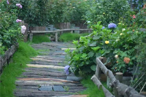 露臺上建造的花園