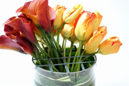 實用插花技巧 一招輕松裝點辦公桌