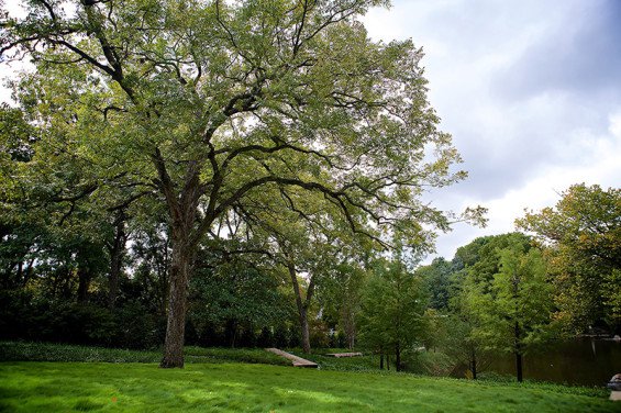 塑造一個有質地的私家花園