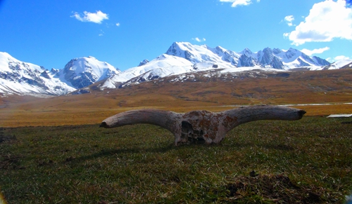 中國首份國家公園條例出臺