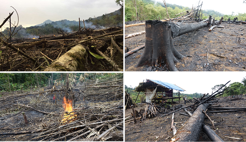 中科院完成第五次緬甸聯合科學考察