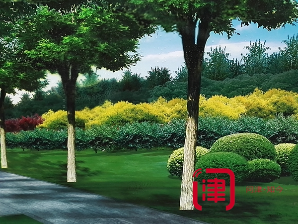 迎全運天津要建這么多公園!各種綠化走起