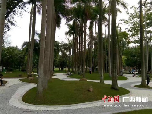 廣西南寧南湖公園將建成“流淌的城市花園”