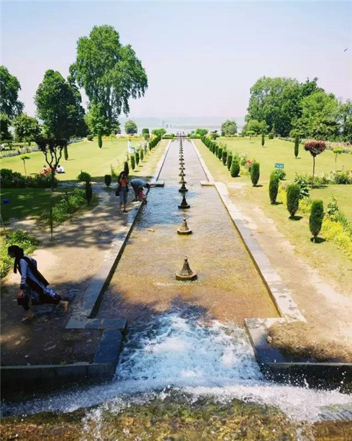 世界上這些驚為天人的植物園你都知道嗎?