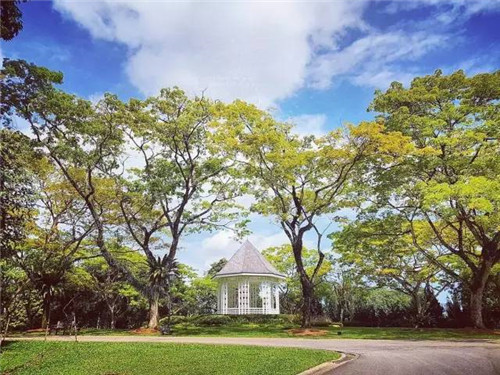 世界上這些驚為天人的植物園你都知道嗎？