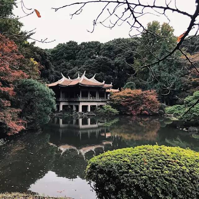 世界上這些驚為天人的植物園你都知道嗎？