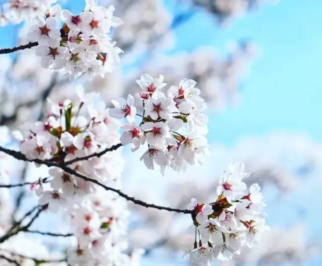 世界上這些驚為天人的植物園你都知道嗎？