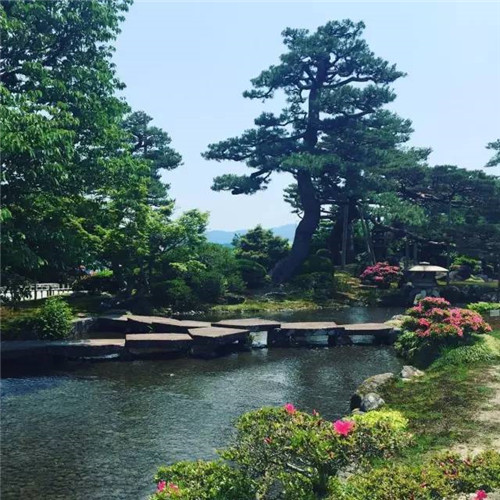 世界上這些驚為天人的植物園你都知道嗎？