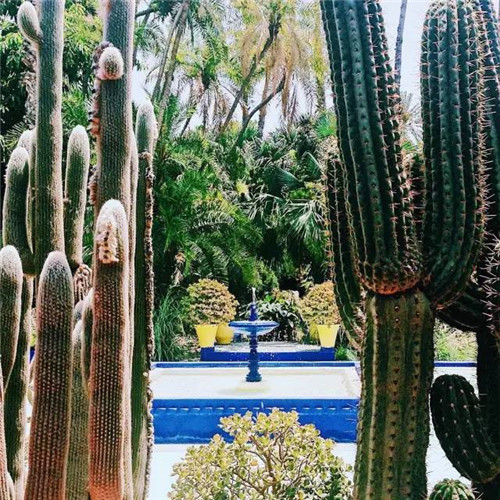 世界上這些驚為天人的植物園你都知道嗎？