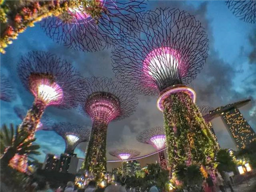 世界上這些驚為天人的植物園你都知道嗎？