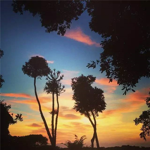 世界上這些驚為天人的植物園你都知道嗎？