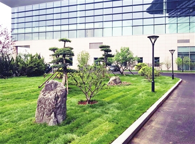 天津濱海機場園林綠化提升