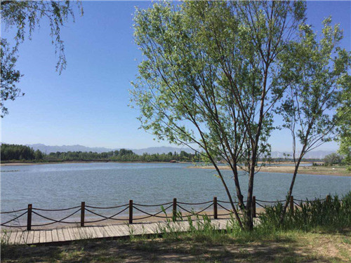 六月走進北京唯一的濕地鳥類自然保護區