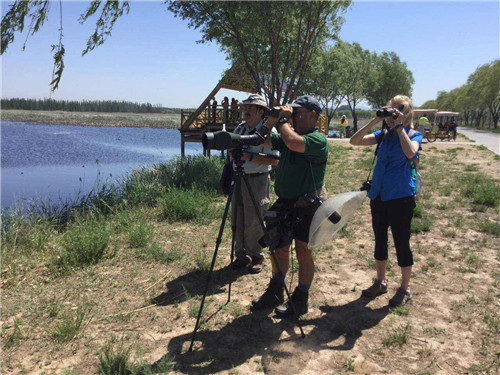 六月走進北京唯一的濕地鳥類自然保護區