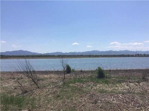 六月走進北京唯一的濕地鳥類自然保護區