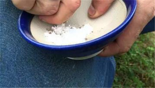 過期藥片竟使植物發(fā)生神奇變化