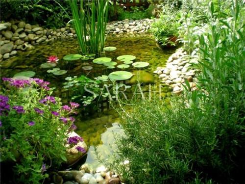 花園設計“園集獎”優秀作品：薩拉的花園