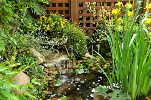 花園設計“園集獎”優秀作品:薩拉的花園