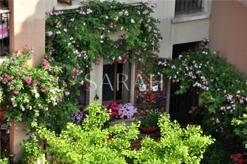 花園設計“園集獎”優秀作品:薩拉的花園